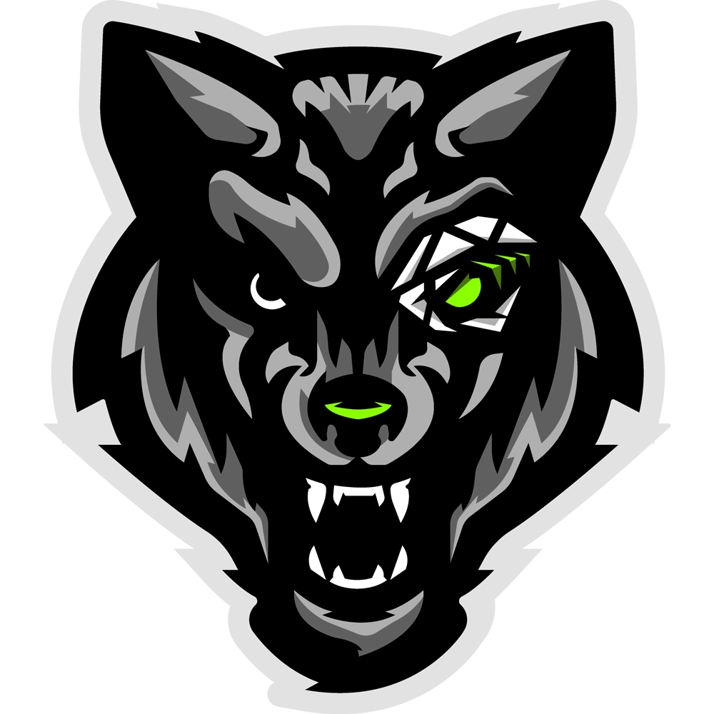https://dkjhsvjwmmioncztcwzh.supabase.co/storage/v1/object/public/logos/teams/569/main.webp