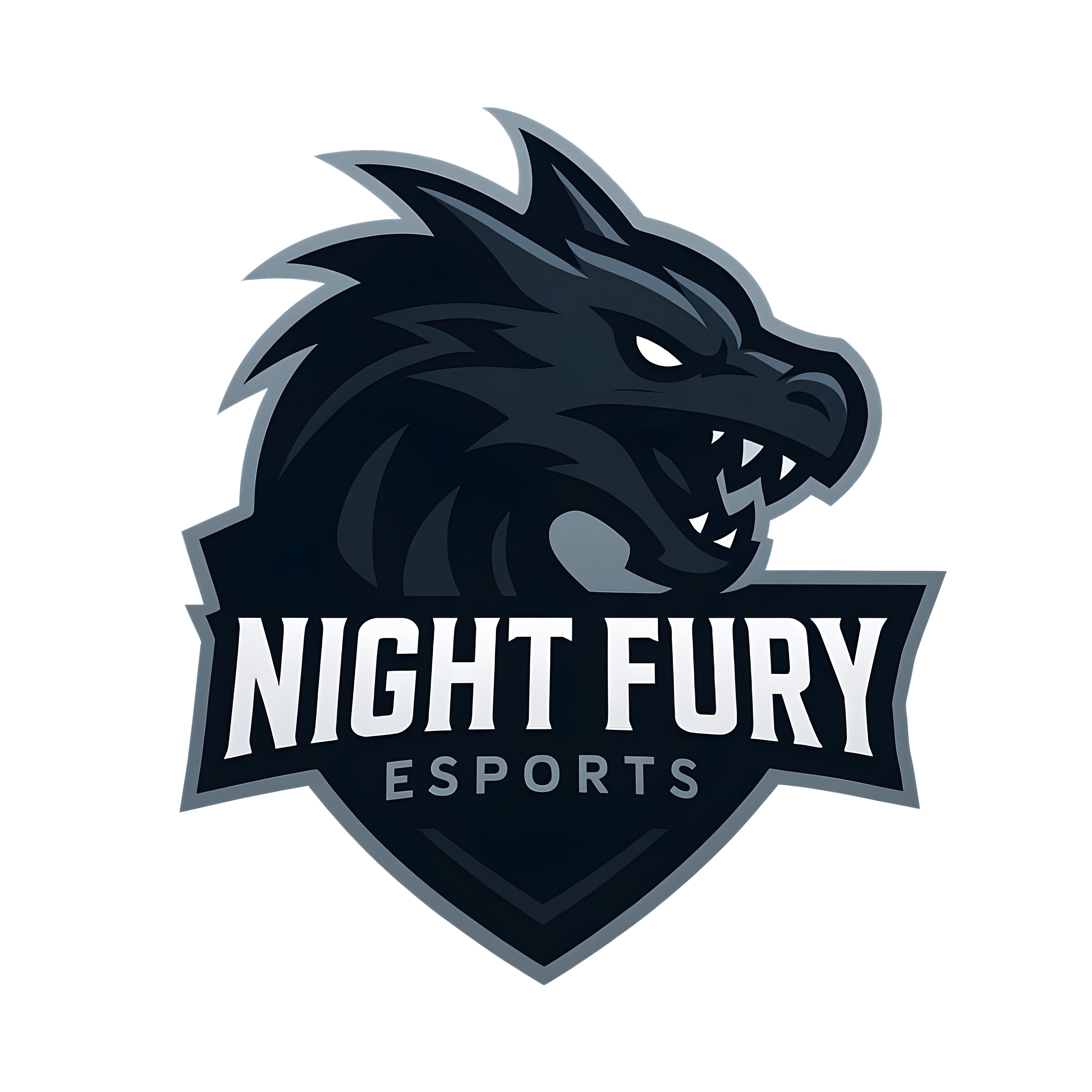 Night Fury